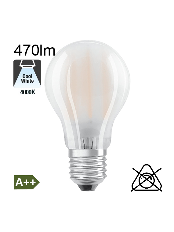 Standard Dépolie LED E27 470lm 4000K