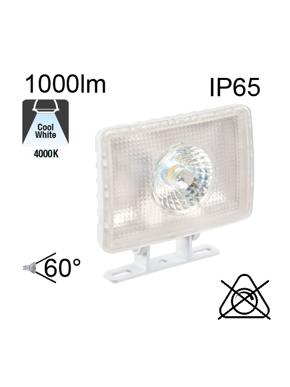 Projecteur Led IP65 10W 1000lm 4000K Blanc