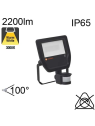 Projecteur Noir Led IP65 20w 2200lm 3000K avec détecteur